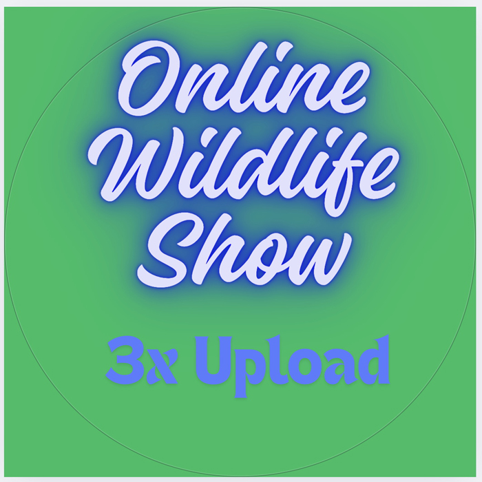 Wildlife Digital Show 3 Uploads - Foothills Art Association